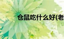 仓鼠吃什么好(老年仓鼠吃什么好)