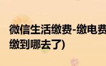 微信生活缴费-缴电费(微信生活缴费缴电费钱缴到哪去了)
