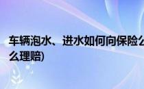 车辆泡水、进水如何向保险公司理赔呢(车子泡水保险公司怎么理赔)