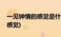 一见钟情的感觉是什么样的(一见钟情啥样的感觉)