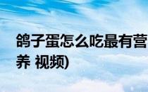 鸽子蛋怎么吃最有营养(鸽子蛋怎么吃最有营养 视频)