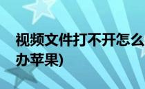 视频文件打不开怎么办(视频文件打不开怎么办苹果)