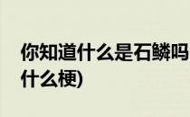 你知道什么是石鳞吗(你知道什么是石鳞吗是什么梗)