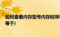 如何查看内存型号内存时序等(如何查看内存型号,内存时序等于)
