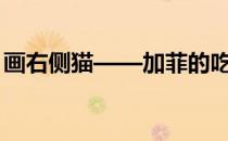 画右侧猫——加菲的吃货生活(画加菲猫图片)