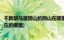 不教胡马度阴山的阴山在哪里(不教胡马度阴山的阴山位于现在的哪里)