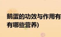 鹅蛋的功效与作用有哪些(鹅蛋的功效与作用有哪些营养)