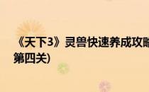 《天下3》灵兽快速养成攻略(《天下3》灵兽快速养成攻略第四关)