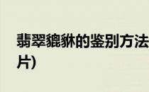 翡翠貔貅的鉴别方法(翡翠貔貅的鉴别方法图片)