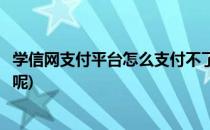 学信网支付平台怎么支付不了(学信网支付平台怎么支付不了呢)