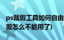 ps裁剪工具如何自由裁剪(ps裁剪工具自由裁剪怎么不能用了)