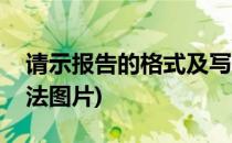 请示报告的格式及写法(请示报告的格式及写法图片)