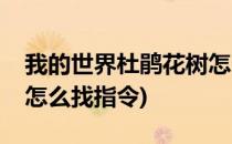 我的世界杜鹃花树怎么找(我的世界杜鹃花树怎么找指令)