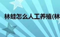 林蛙怎么人工养殖(林蛙怎么人工养殖视频)