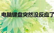 电脑键盘突然没反应了(电脑键盘失灵怎么办)