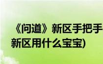 《问道》新区手把手教你选择宝宝(问道手游新区用什么宝宝)