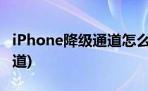 iPhone降级通道怎么查询(怎么看苹果降级通道)