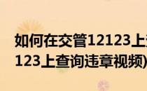 如何在交管12123上查询违章(如何在交管12123上查询违章视频)