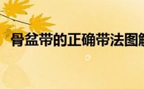 骨盆带的正确带法图解(骨盆带正确佩戴图)