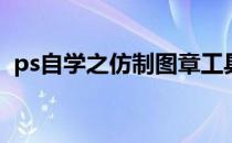ps自学之仿制图章工具(ps用仿制图章工具)
