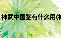 神武中图鉴有什么用(神武收集图鉴有什么用)