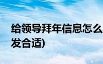 给领导拜年信息怎么发(给领导拜年信息怎么发合适)