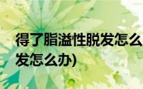 得了脂溢性脱发怎么办(头皮油脂分泌过多脱发怎么办)