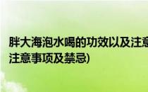 胖大海泡水喝的功效以及注意事项(胖大海泡水喝的功效以及注意事项及禁忌)