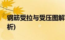 钢筋受拉与受压图解(钢筋受拉与受压图解分析)