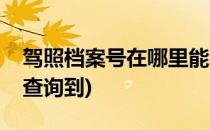 驾照档案号在哪里能查(驾照档案号在哪里能查询到)