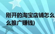 刚开的淘宝店铺怎么推广(刚开的淘宝店铺怎么推广赚钱)