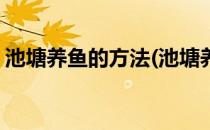 池塘养鱼的方法(池塘养鱼的方法和技巧书籍)
