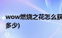 wow燃烧之花怎么获得(燃烧之花每天能获得多少)