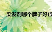 染发剂哪个牌子好(染发剂哪个牌子好用)