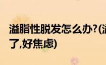 溢脂性脱发怎么办?(溢脂性脱发怎么办快掉光了,好焦虑)