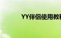YY伴侣使用教程(套用yy伴侣)