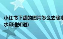 小红书下载的图片怎么去除水印(小红书下载的图片怎么去除水印谁知道)