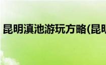 昆明滇池游玩方略(昆明滇池游玩方略和时间)
