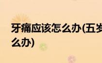 牙痛应该怎么办(五岁宝宝牙齿蛀牙痛应该怎么办)