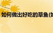 如何做出好吃的草鱼(如何做出好吃的草鱼丸)