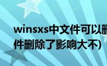winsxs中文件可以删除吗(电脑里winsxs文件删除了影响大不)