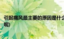 引起痛风最主要的原因是什么(引起痛风最主要的原因是什么呢)