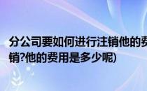 分公司要如何进行注销他的费用是多少(分公司要如何进行注销?他的费用是多少呢)