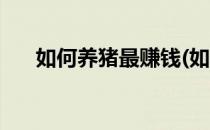 如何养猪最赚钱(如何养猪最赚钱知乎)
