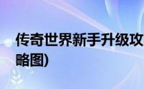 传奇世界新手升级攻略(传奇世界新手升级攻略图)