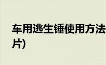 车用逃生锤使用方法(车用逃生锤使用方法图片)