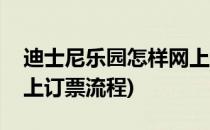 迪士尼乐园怎样网上订票(迪士尼乐园怎样网上订票流程)