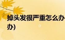 掉头发很严重怎么办(头发掉的非常厉害怎么办)