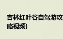 吉林红叶谷自驾游攻略(吉林红叶谷自驾游攻略视频)