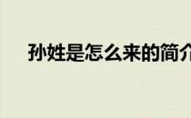 孙姓是怎么来的简介(孙姓是怎么来的?)